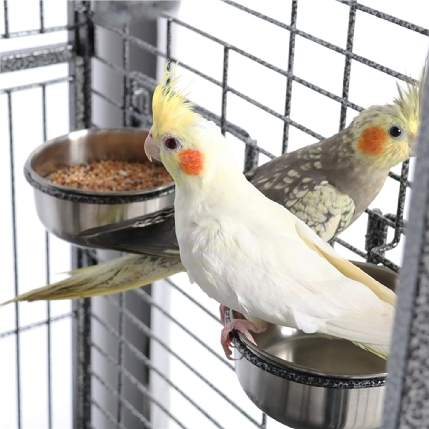 Yaheetech Vogelkooi Papegaaienkooi – 81 x 77 x 154-160 cm – Voorzien Van Openklapbaar Victoriaans Dak En Vuilopvangbak En Verrijdbaar Onderstel – Voor Papegaaien En Grote Vogels – Zwart Gehamerd Metaal