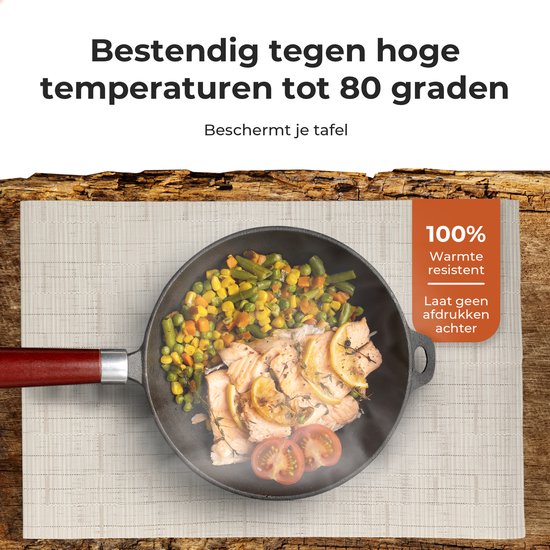 Castagnola Placemats - Placemat van Kunststof - Onderlegger - Onderzetter - Placemats Plastic en PVC - 6 Stuks - 45 x 30 cm - Beige