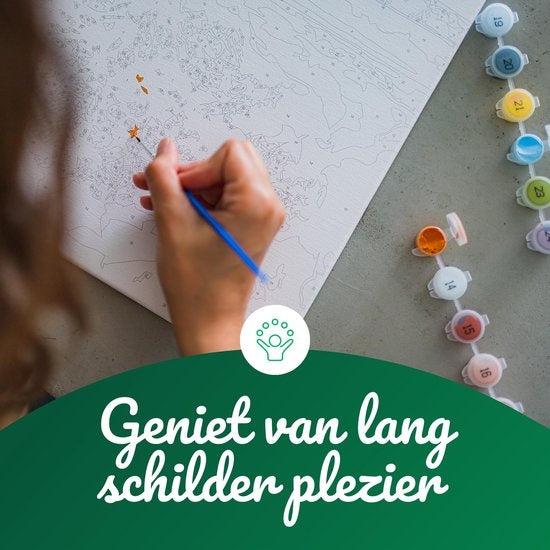 Rubye® Schilderen Op Nummer Volwassenen – Vlinders – Inclusief Penselen – Canvas Schildersdoek – Kleuren op Nummer – 40x50cm