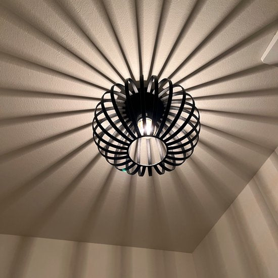 Nolt Plafondlamp - Plafonniere E27 Lamp - Industrieel - ⌀ 25cm - Zwart