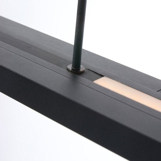 Hanglamp Steinhauer Zelena LED - Zwart