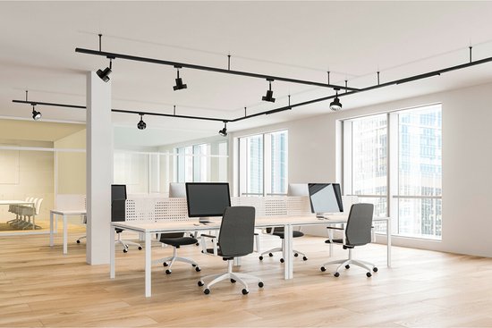 LED Railverlichting - Track Spot - DUOLINE - 2 Fase - GU10 Fitting - Rond - Mat Goud - Aluminium