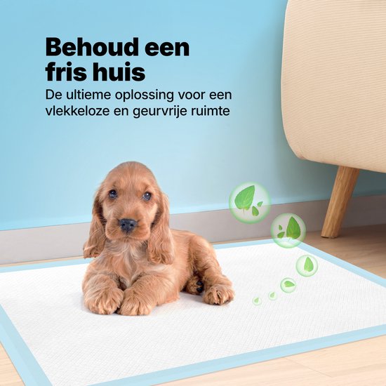 Jake and Jacky Puppy Training Pads 60 x 90 cm - 30 Stuks - met Plakstrip - Zindelijkheidstraining Hond - Hondentoilet - Plasmatjes Hond - Plasdoeken - Puppydoeken - Puppy Matjes Extra Groot