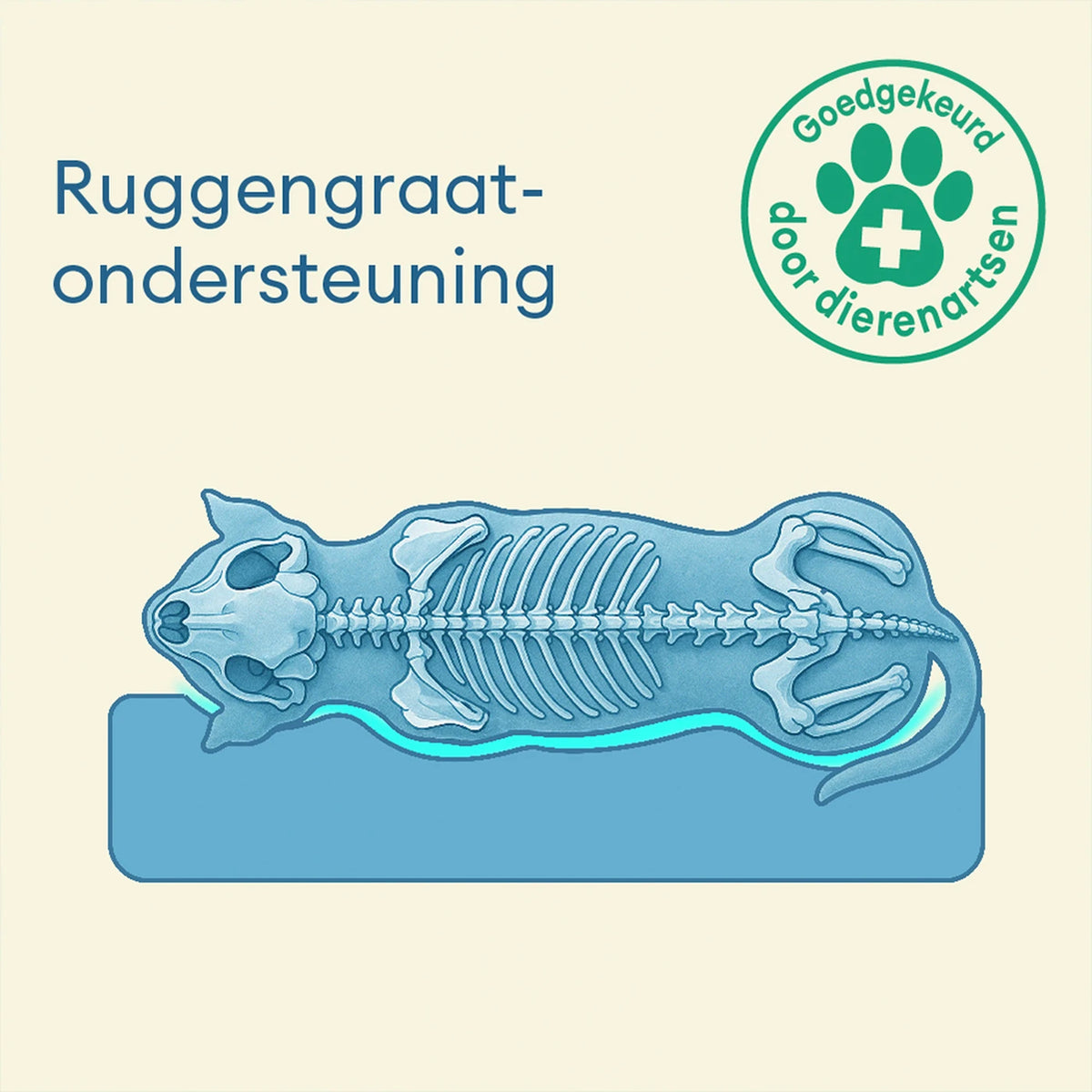 FUNNYFUZZY Orthopedisch Hondenbed - L - 75 x 58 x 13 cm - Donkergroen - Waterbestendig