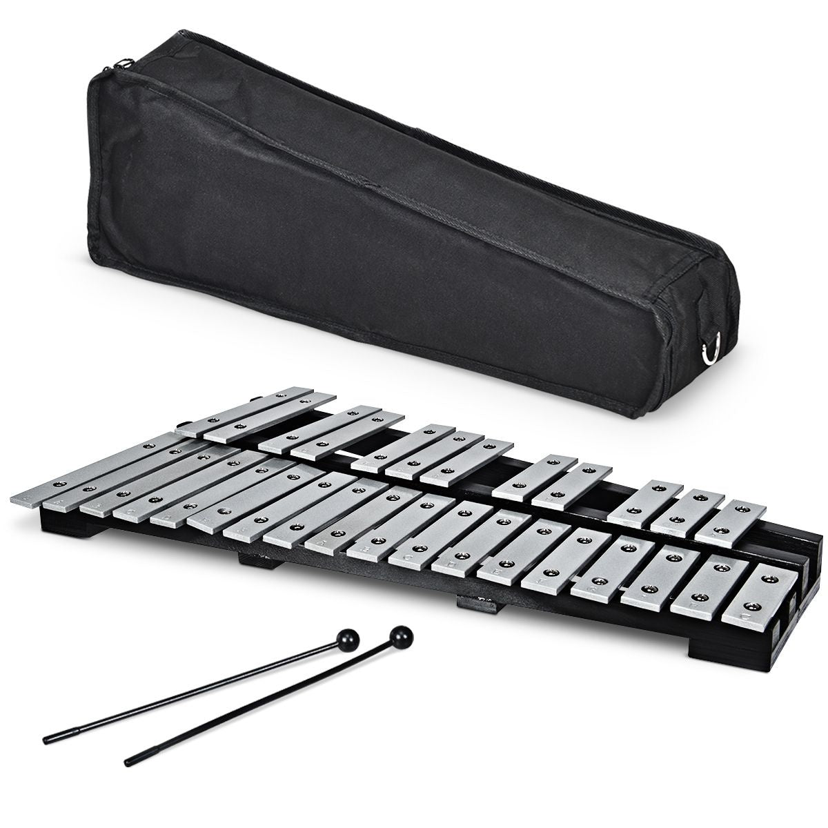Coast Handpercussie Xylofoon Met 30 Noten - Inclusief Draagtas - Opvouwbaar