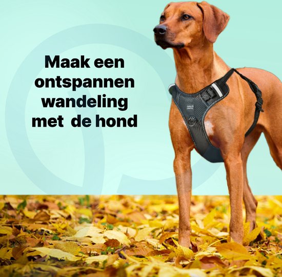 Jake & Jacky Hondentuig – Anti-Trek Y-tuig met Reflecterende Naden – Maat L – Zwart
