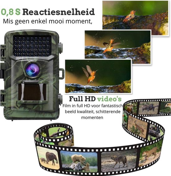 CAMUX Professionele Wildcamera 16MP - Nachtzicht - Incl. 32GB SD Kaart - Groen