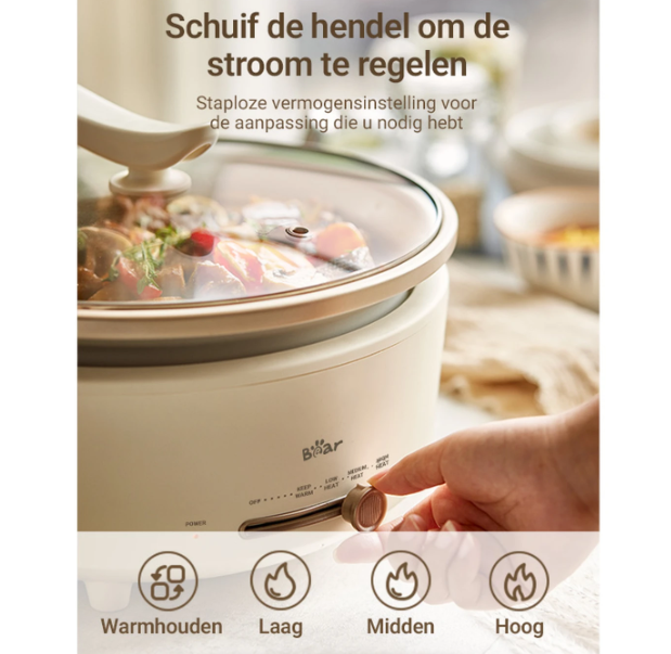 Bear - DHG-P50F1 - Elektrische Hotpot 5L - 36,9 x 31,2 x 23,6 cm
