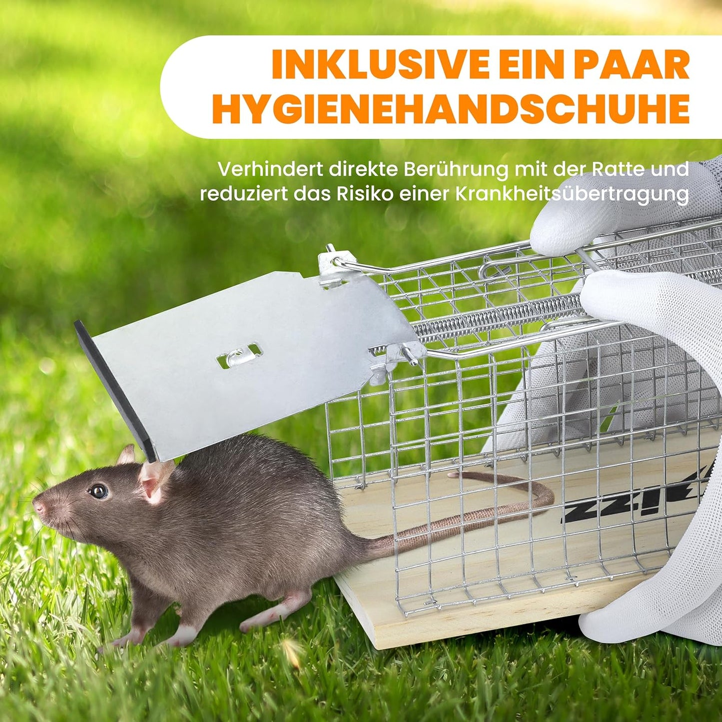 Lebenlang – rattenval hout – 29×12×12 cm – set van 2 – diervriendelijke live trap – inclusief handschoenen