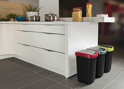 Rotho Twist Prullenbak met Deksel, 50 Liter, Zwart/Zilver, BPA-vrij