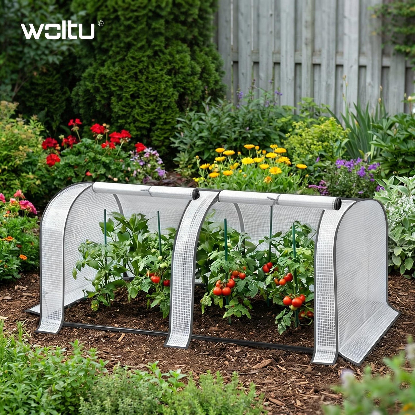 WOLTU tomaten kas - mini serre voor tuin en balkon - waterdicht met uv bestendige PE rasterfolie - 130 x 60 x 50 cm - wit