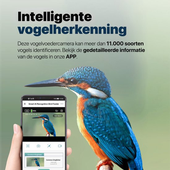 BOME Vogelvoederhuisje - Dubbele 2K HD Camera - Voedersilo - AI Vogelherkenning - Met Zonnepanelen