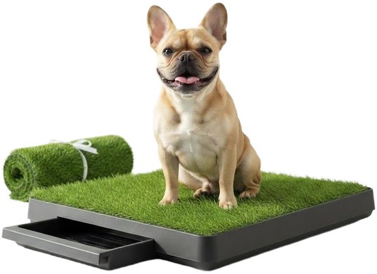 Pawesome - Hondentoilet kunstgras - Toilet voor honden met grasmat - Puppy Pads - Training Pads - Outdoor toilet - Zindelijkheidstraining - Inclusief 2 grasmatten