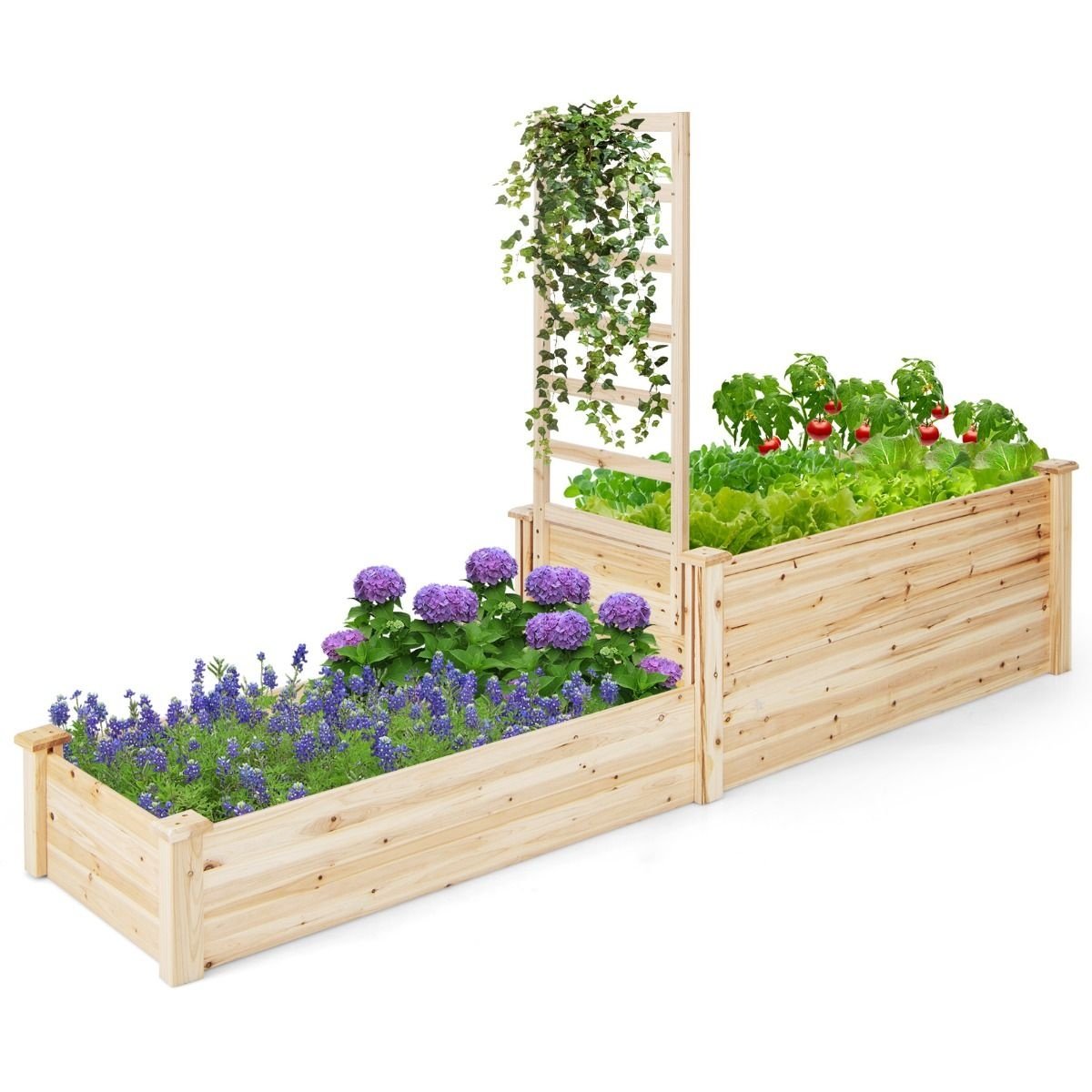 Coast Plantenbak - 2 Bakken en 1 Rek voor Klimplanten - Open Onderkant - 223 x 64 x 134 cm - Dennenhout