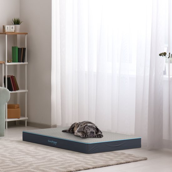 CozySense® – Orthopedisch Hondenkussen 60 X 40 Cm – Maat S - Waterdicht – Geschikt Als Benchkussen & Hondenbed