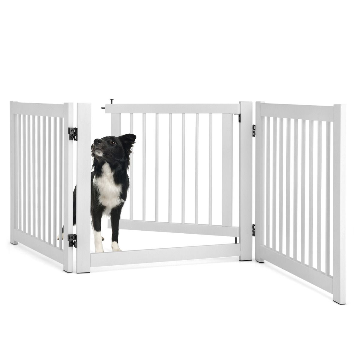 Coast Opvouwbaar Hondenhek - 3-delig - Dennenhout - Wit - 61 cm hoog
