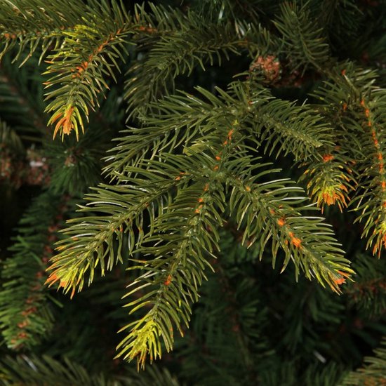 Black Box Trees Frasier Boom - Kerstboom met Natuurlijke Vorm - Kerstversiering voor Binnen - Kunstboom met Scharnierconstructie - Hoogte 185 x Diameter 124 cm - Groen
