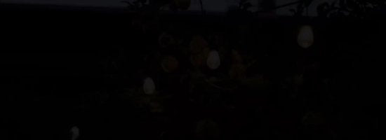 SHINE Lichtsnoer Buiten – Solar LED Prikkabel – 8,5 Meter – Vintage Basic – Afstandsbediening