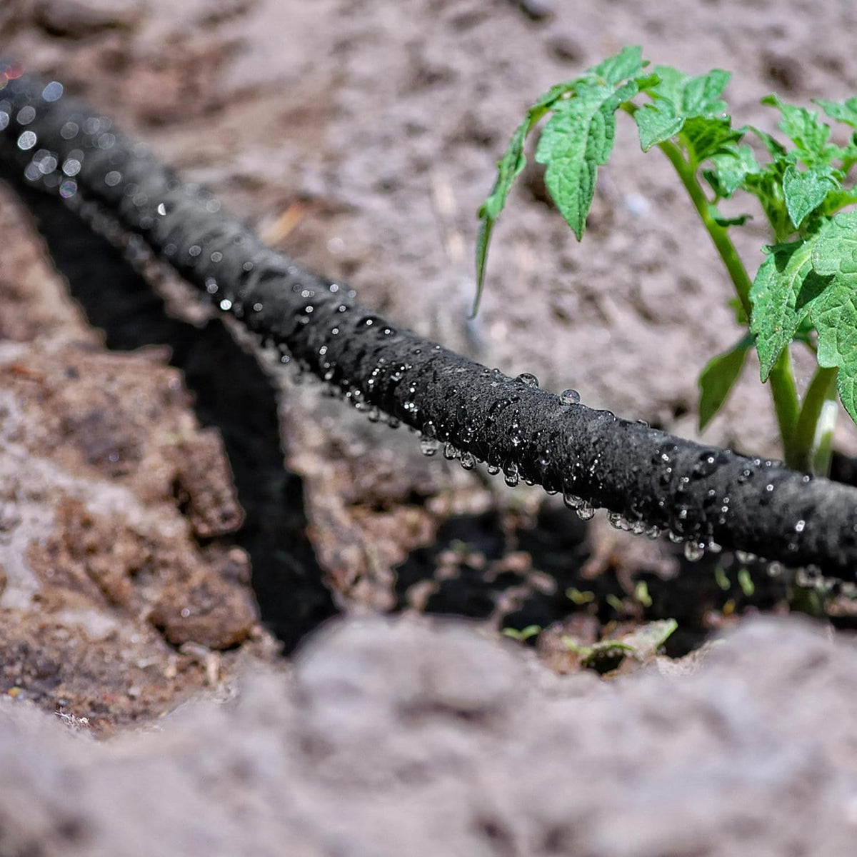 Yaheetech Druppelslang 50 m – 16 mm, met aansluitset voor tuinbewatering