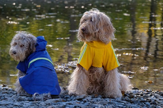 Dutchwide - Hondenjas - Regenjas Hond - Blauw - Maat S