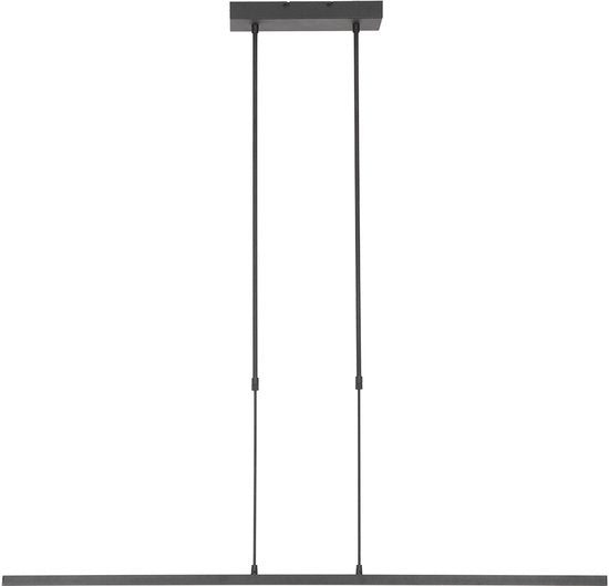 Steinhauer - hanglamp - Bande - zwart - kunststof metaal - design lamp - LED - 3319ZW