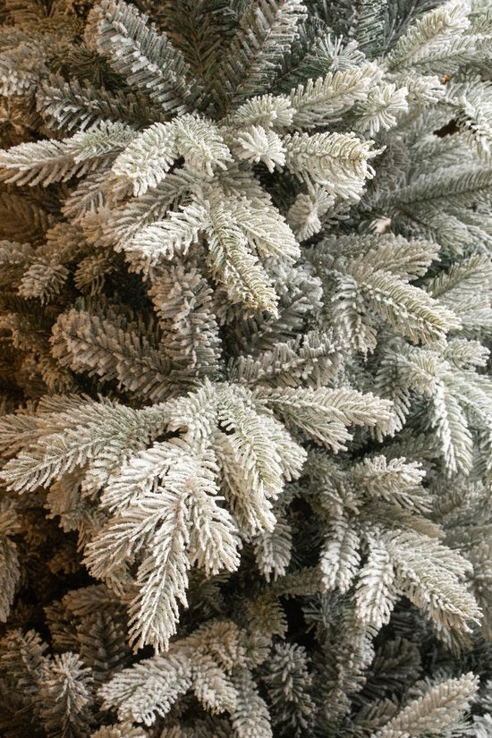 Black Box Trees Grimshaw Boom - Kerstboom met Frosted Sneeuweffect - Kerstversiering voor Binnen in Huis - Kunstboom met Scharnierconstructie - H215 x Ø152 cm - Groen
