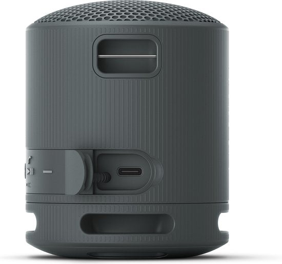 Sony SRS-XB100 - Draagbare Bluetooth Speaker - Zwart
