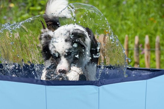 maxxpro Hondenzwembad - 120 x 30 CM - Middelgrote Hondenrassen - Opvouwbaar Honden Bad - Anti-Slip Bodem - met Leegloopventiel - Blauw