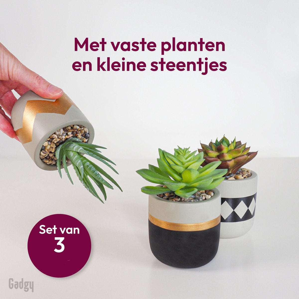 Gadgy Kunstplanten voor Binnen - 3 stuks - Kunst Vetplantjes in Stenen Pot - Nepplant - 13 tot 16 cm