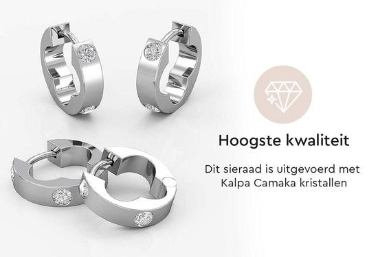 Zilverkleurige Oorringen met Kristallen – 18K Witgoud Verguld – Luxe Giftbox – Dames Oorbellen Cadeau