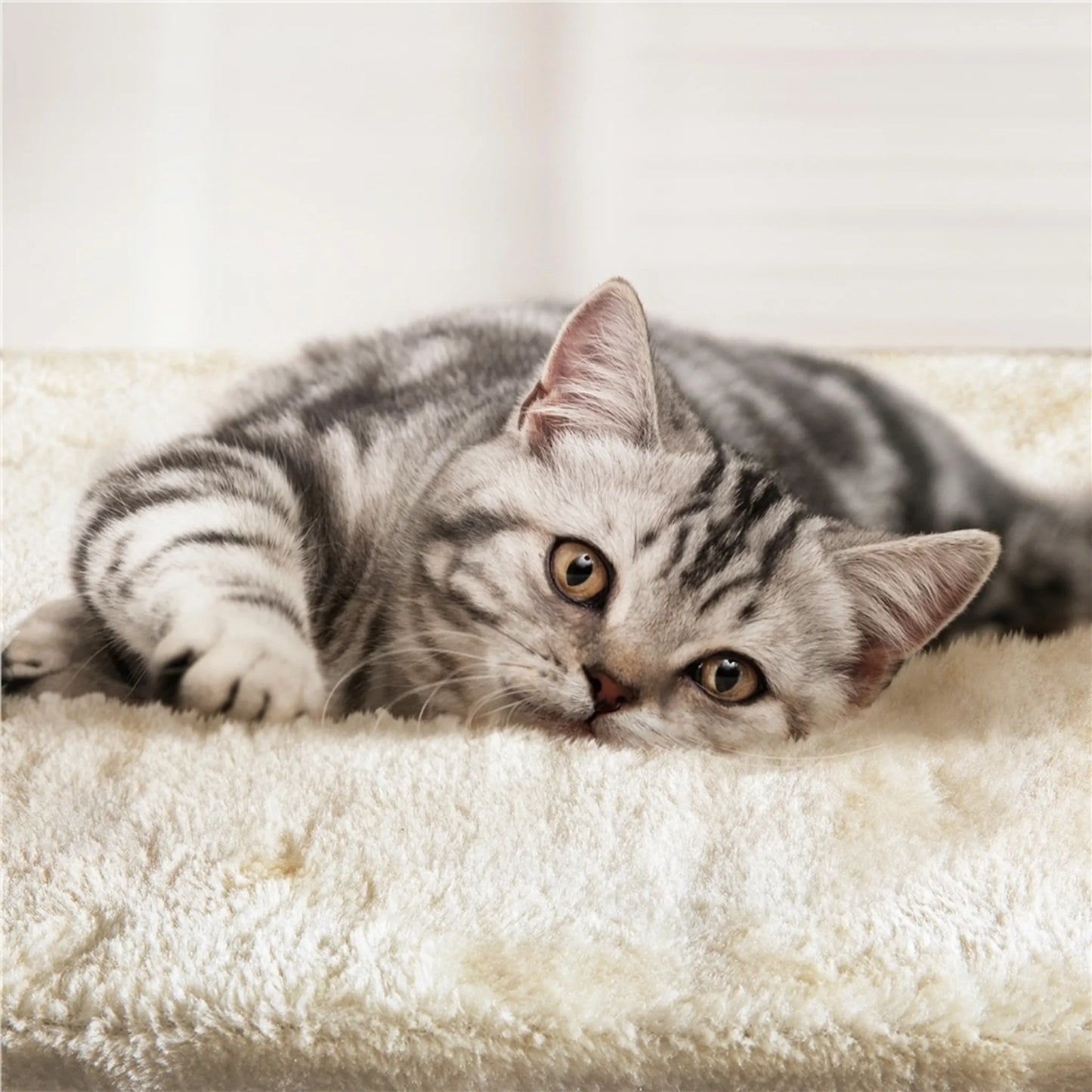 Yaheetech Krabpaal Met 3 Verdiepingen – Voorzien Van Sisalpalen En Kattenmand En Hangmat En Verwijderbare Pluche Bal – Voor Kleine En Middelgrote Katten – Beige Pluche En E1 Spaanplaat – 51 x 34,5 x 87 cm