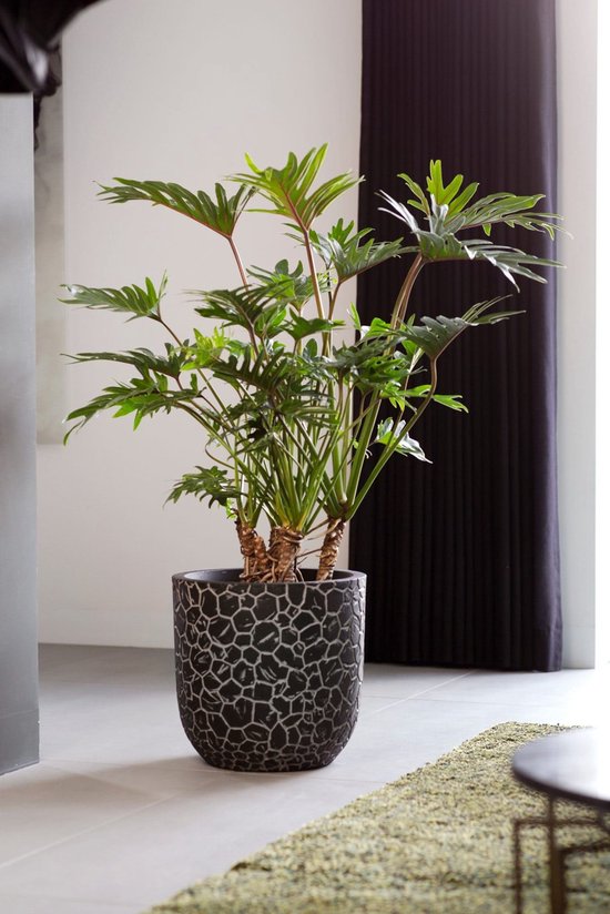 Capi Europe - Bloempot bol Clay NL - 35x34 - Warm taupe - Bloempot voor binnen en buiten - Levenslang garantie - Breukbestendig - 100% Recyclebaar - CO2 Neutraal geproduceerd - KWTC932