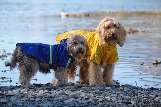 Regenjas Hond Maat XL Hondenjas Jas Honden Puppy Hondenkleding - Blauw - Dutchwide