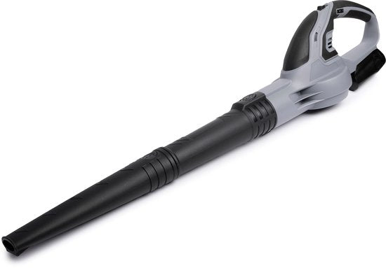QLT Accu Bladblazer met Lader – Lichtgewicht en Krachtig Tuingereedschap voor Bladeren, Stof en Grasresten – 12V