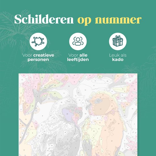 Rubye® Schilderen op Nummer - Papegaaien voor volwassenen en kinderen - 40x50cm