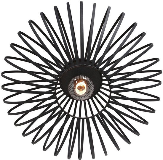 Steinhauer Dunbar AN plafondlamp 1-lichts 40cm