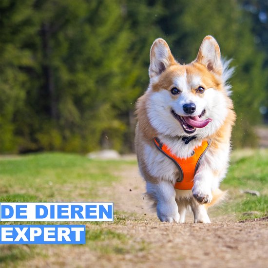 Dierenren XXL - Ren - Verstelbaar - Voor binnen - Puppyren - Kleine dieren - Kittens - Wit - 142 x 71 x 53cm