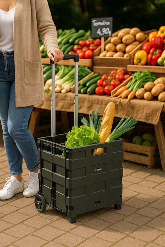 Ceruzo Boodschappen Trolley met Vouwkrat - 30 Liter met 2 Wielen- Inklapbaar- Boodschappenkrat-Zwart