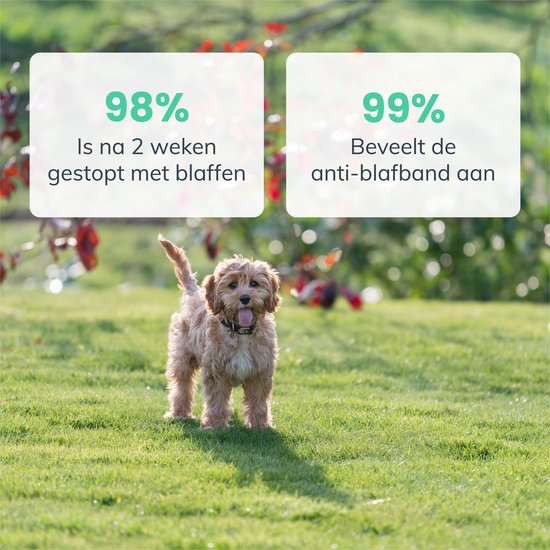 Dutchwide Anti-blafband Pro - 100% waterdicht - Trainingshalsband voor honden - Met anti blaf apparaat - Geschikt voor kleine en grote honden - Hondentraining hulpmiddel