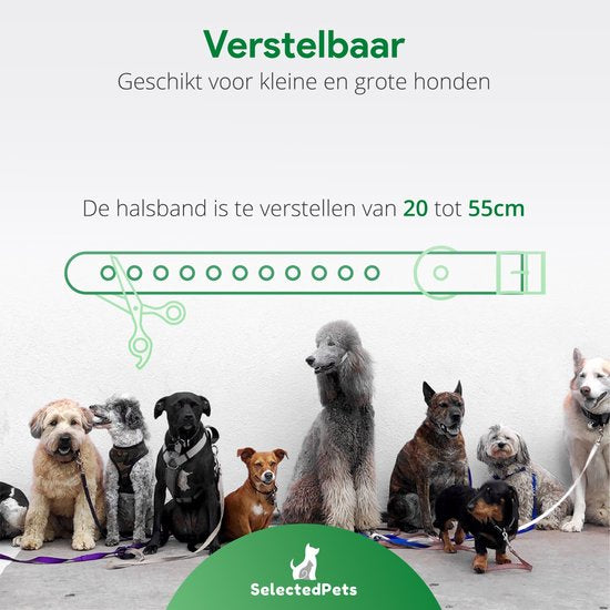 Anti blafband - Blafband voor honden - Blafband grote en kleine hond - Automatische blafdetectie verstelbaar op jouw hond