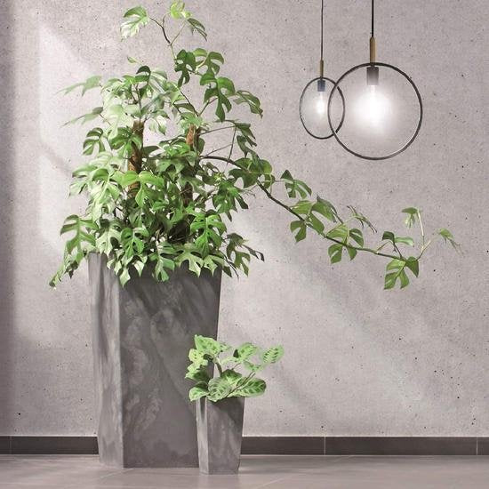 Prosperplast Bloempot - Betonstijl - 32,5 x 32,5 x 61 cm - Grijs - 49L