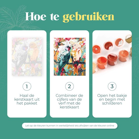 Rubye® Schilderen op Nummer - Papegaaien voor volwassenen en kinderen - 40x50cm