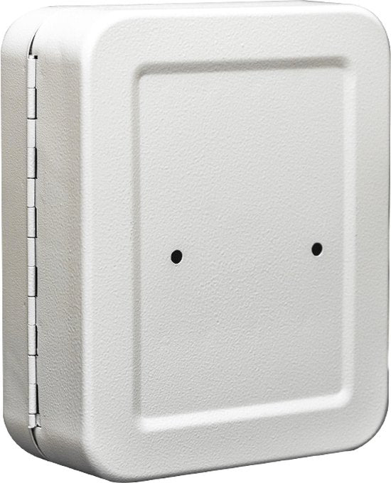 BRASQ Sleutelkast - 16x20x7,5 cm - Sleutelkluis - Sleutelbox - Met Cilinderslot - 20 haken voor sleutels - KC100 - Grijs