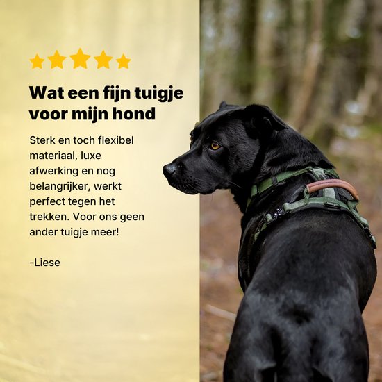 Jake en Jacky Hondentuigje Hond Medium - Anti-Trek Tuig - Y Tuig Hond - Hondenharnas - Groen - Maat S