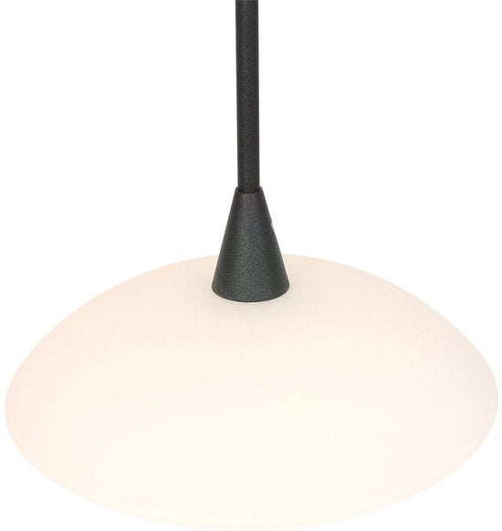Hanglamp Tallerken 2654ZW Zwart - Modern, Hoogte Verstelbaar, Materiaal: Glas en Metaal, Binnen, Steinhauer