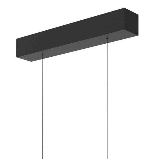 Steinhauer - hanglamp - Bande - zwart - metaal - design lamp - LED - 3995ZW