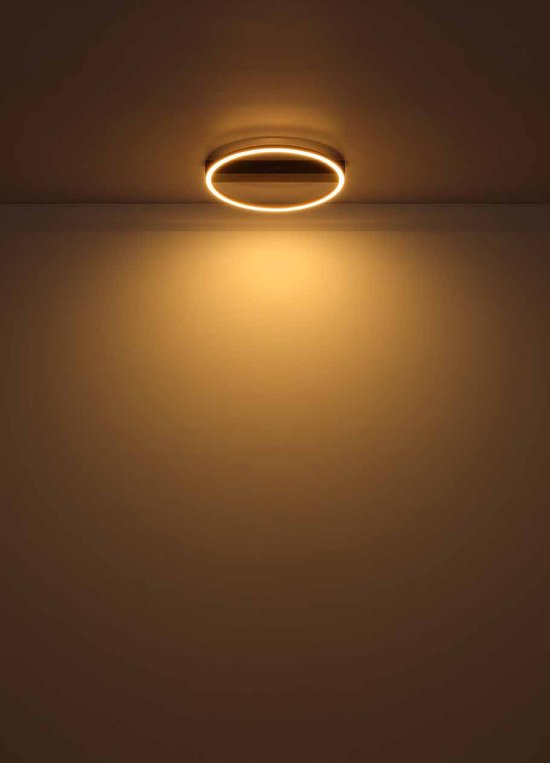 Globo Gunther Plafondlamp - Metaal - LED - 40 cm - Dimbaar - Zwart