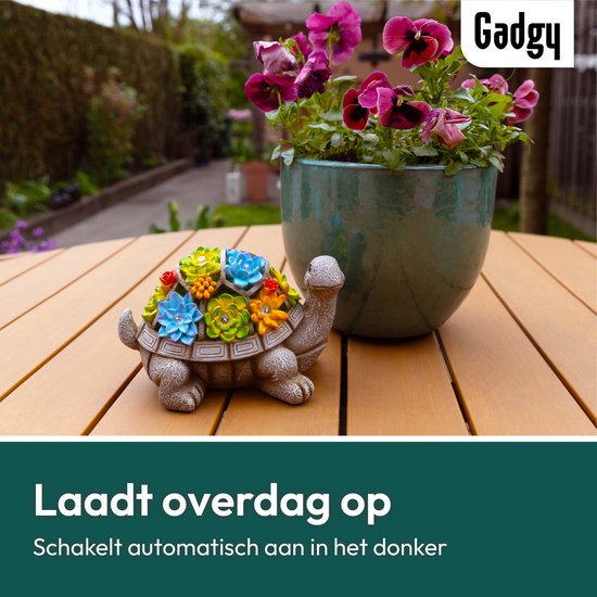 Gadgy - Solar Tuinverlichting Schildpad - multi - 20.5x13.5x20.5 cm