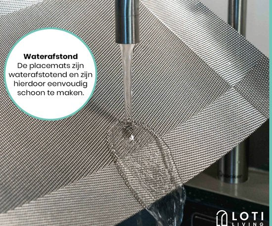 Loti Living Placemats 4 Stuks – Placemats Kunststof – Placemats Plastic - Onderlegger -30x45cm – Metallic grijs