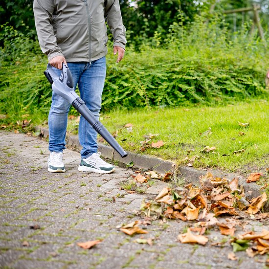 QLT Accu Bladblazer met Lader – Lichtgewicht en Krachtig Tuingereedschap voor Bladeren, Stof en Grasresten – 12V